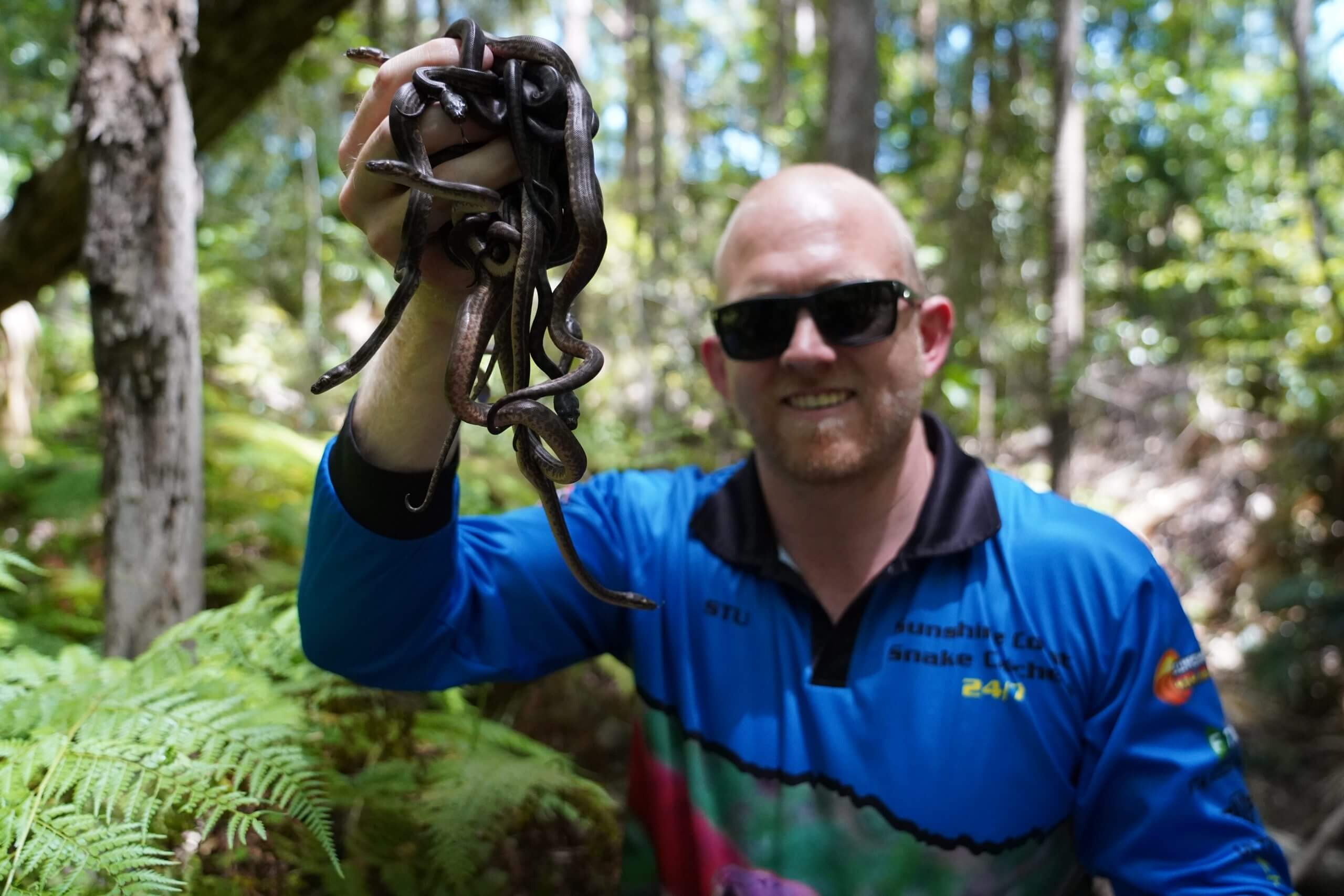 Stuart holding lots of snakes