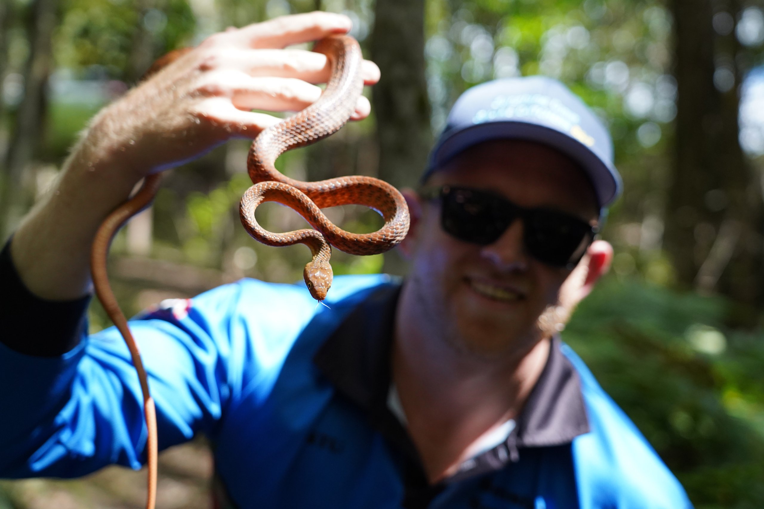 Stuart holding brown tree snake