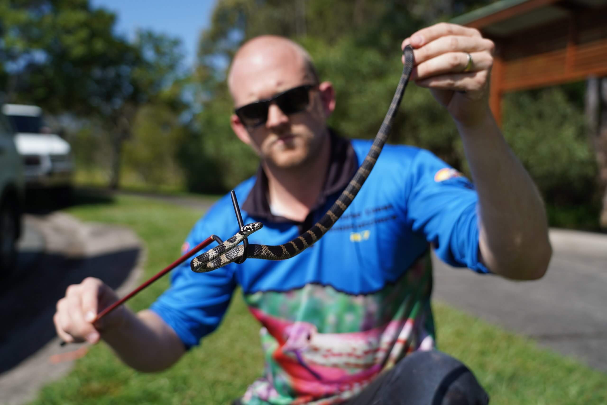 Stuart Holding a Stephen's Banded Snake