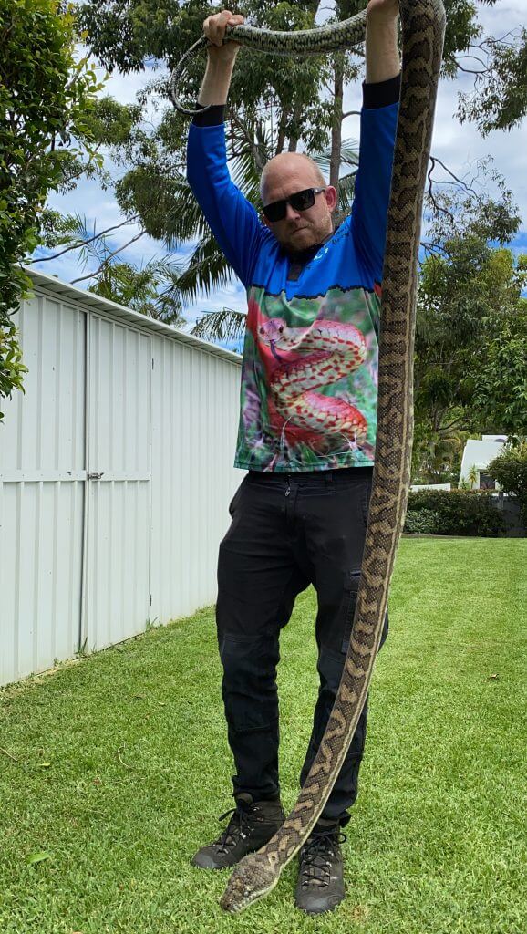 Coastal Carpet Python Snake Portfolio The Snake Catcher 24/7