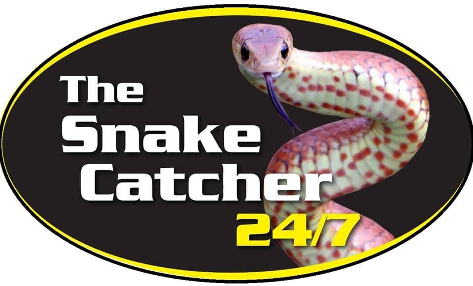 The Snake Catcher Sunshine Coast
