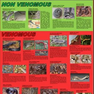 Snake ID Poster