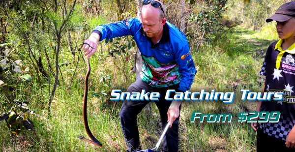 Snake catcher tours photo