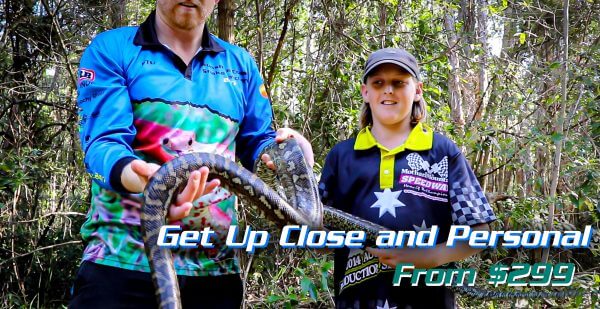 From Just $299 Snake Catcher Tours