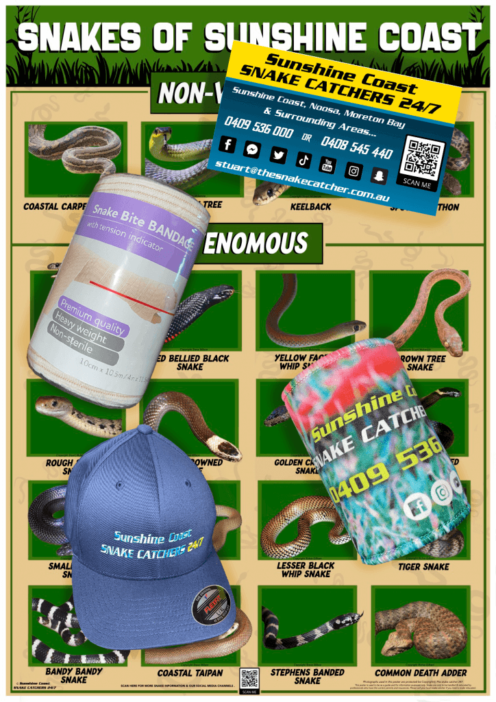 Snake Catchers Mega Pack The Snake Catcher