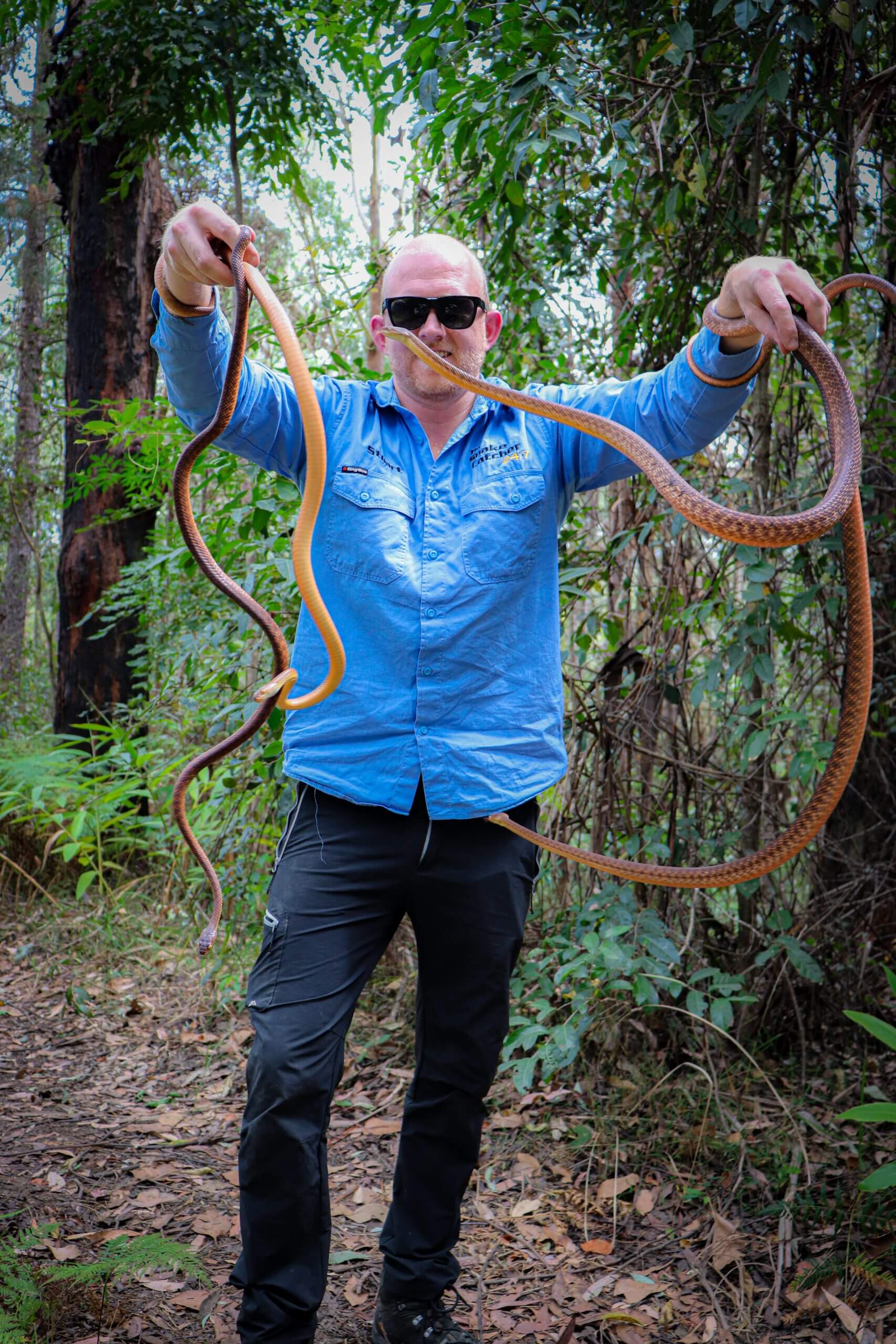 A snake catcher found two snakes during a yard inspection