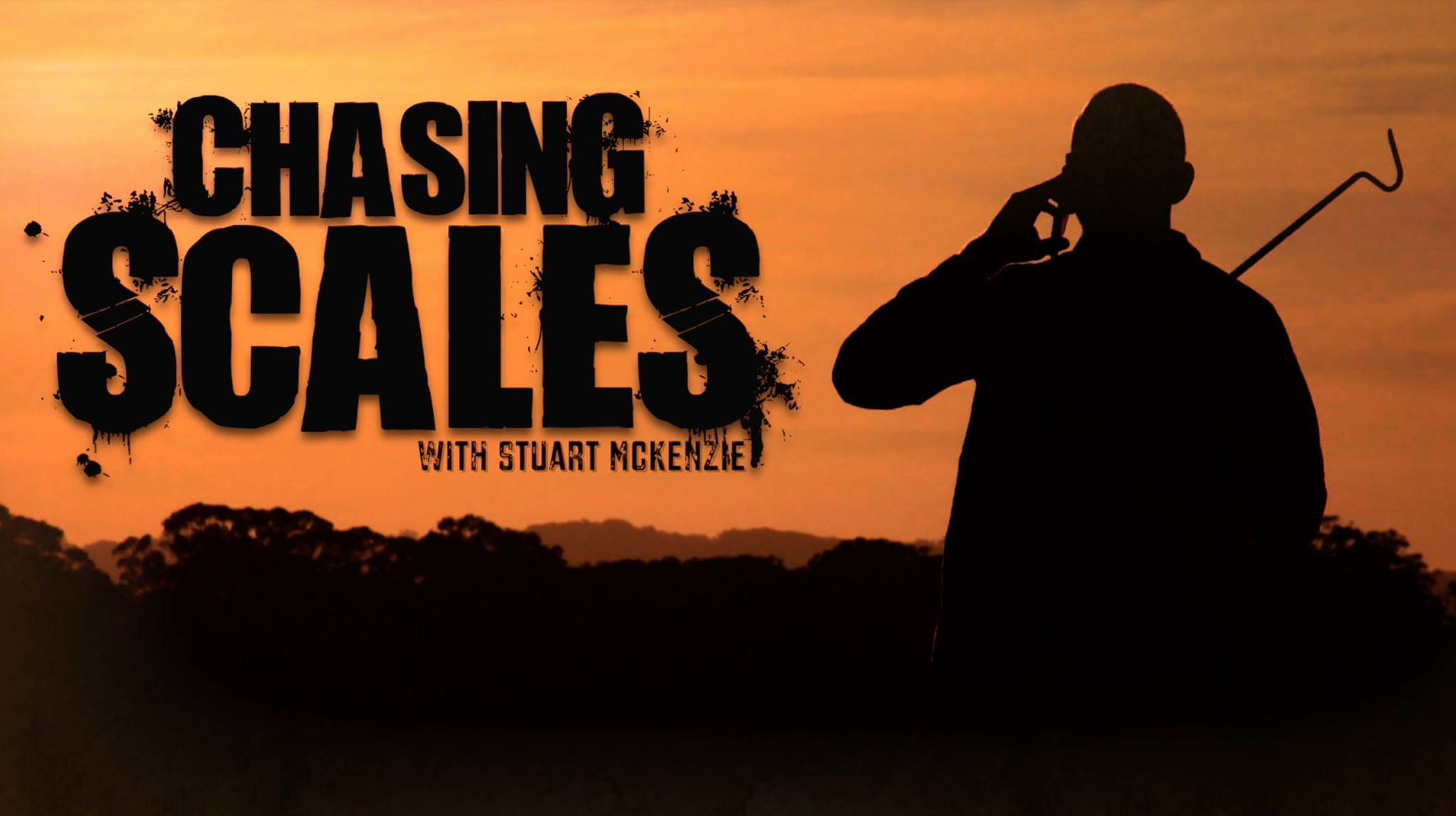 Chasing Scales Podcast Image
