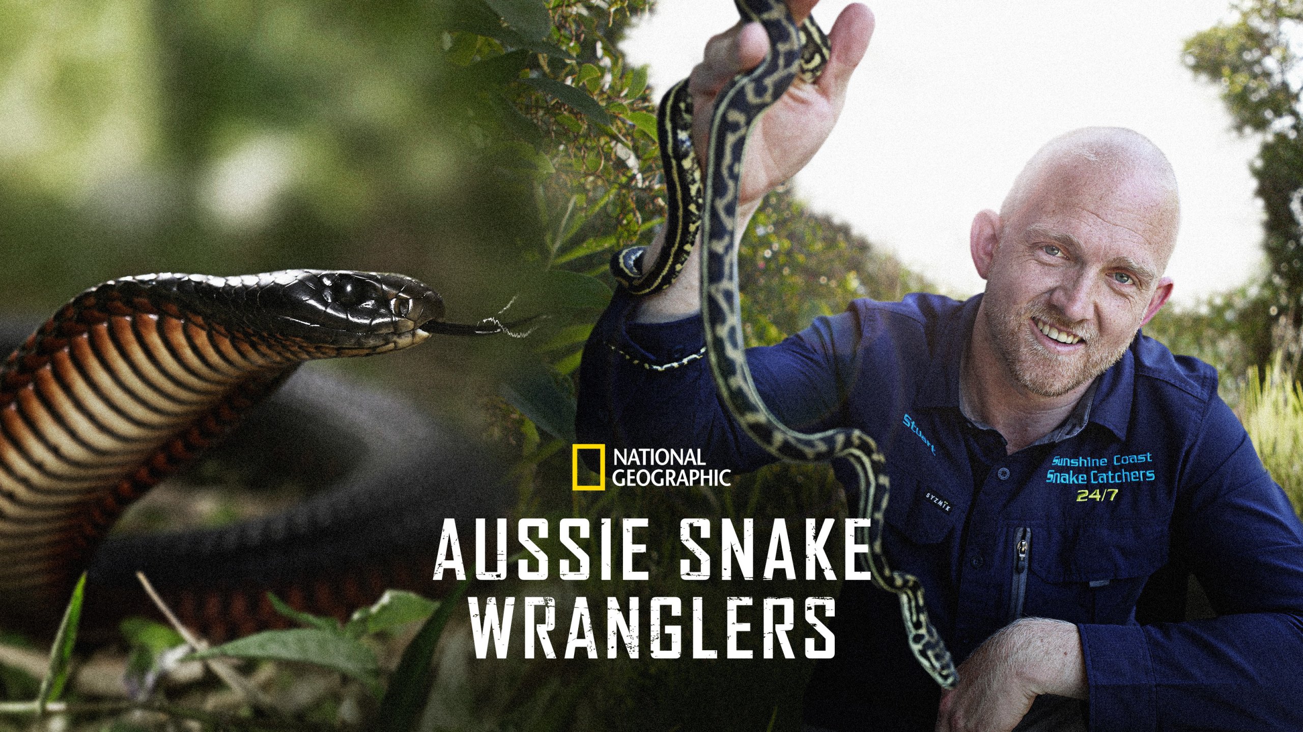 Stuart McKenzie in Aussie Snake Wranglers