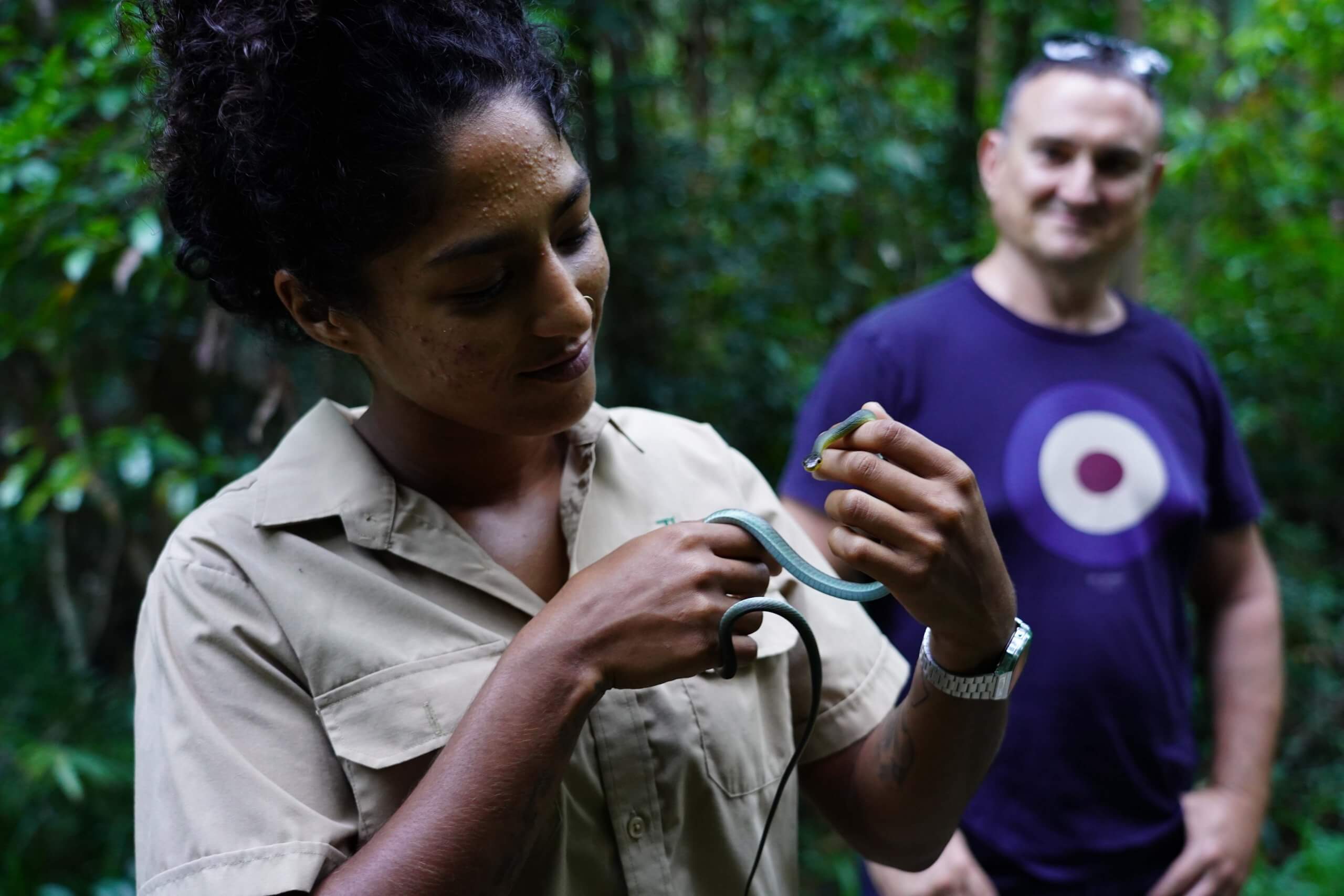 Lady holds tree snake with confidence on tour