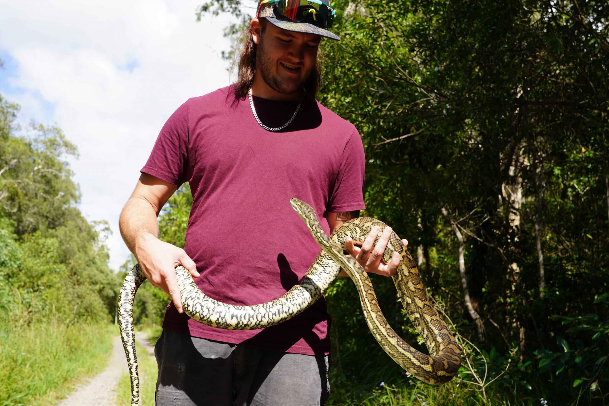 Harley handling non venomous carpet python on snake catching tour
