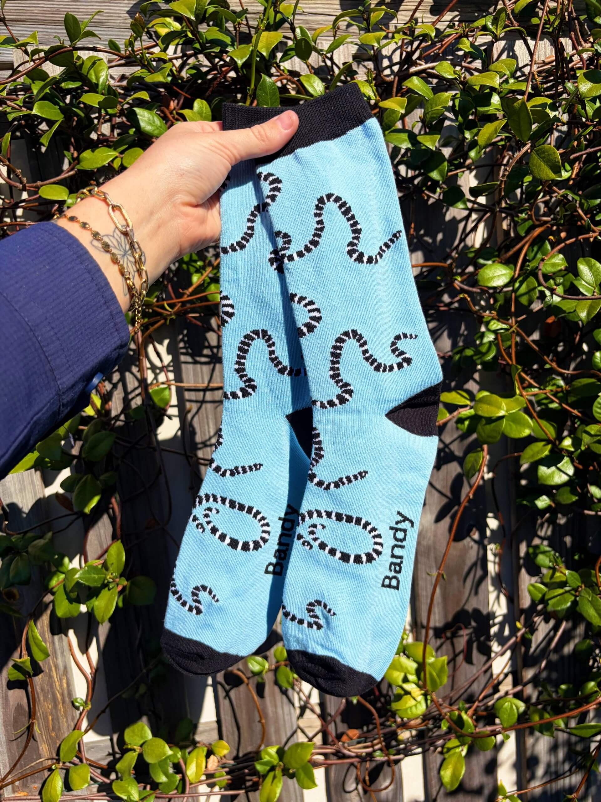 Snake Socks Bundle - Image 5